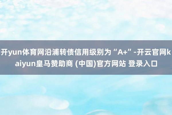 開yun體育網(wǎng)沿浦轉債信用級別為“A+”-開云官網(wǎng)kaiyun皇馬贊助商 (中國)官方網(wǎng)站 登錄入口